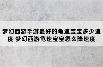 梦幻西游手游最好的龟速宝宝多少速度 梦幻西游龟速宝宝怎么降速度